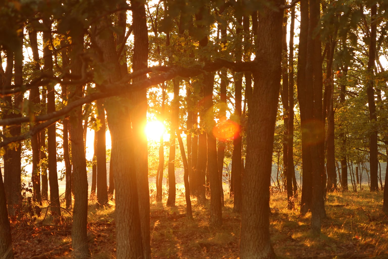 Sonnenuntergang